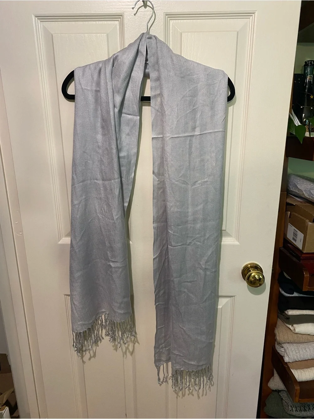 Light Gray/ Silver Pashmina Shawl